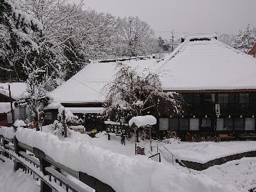 湯西川の冬の風物詩『かまくら祭』を楽しむ♪平日限定！平家の里入場チケット特典付★