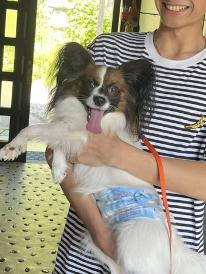 休日前も平日料金で【ペットOK】しゃぶしゃぶデリバリープラン♪～ログハウスこもれび～