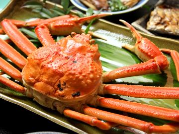 【タグ付き国産ズワイガニフルコース】冬の絶対王者活ガニお1人様につき2杯使用!大満足のボイルガニ1人1杯!