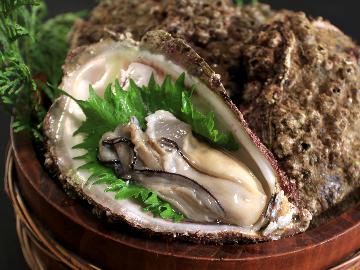 【ふくい岩がきフルコース】旨味たっぷり新ブランドの岩ガキをいろんな食べ方でお楽しみいただけます☆