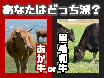 【グレードアップBBQ】あなたはどっち派?選べる赤牛&黒毛和牛♪いつものBBQを更に華やかに!豪華に!